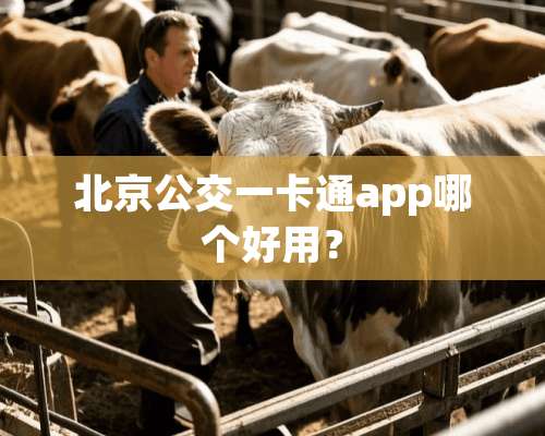 北京公交一卡通app哪个好用？