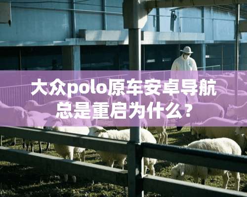 大众polo原车安卓导航总是重启为什么？