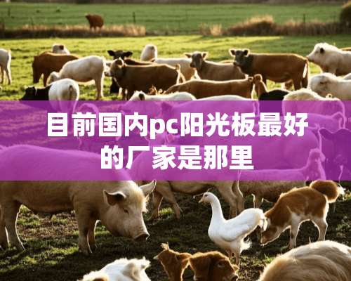 目前国内pc阳光板最好的厂家是那里