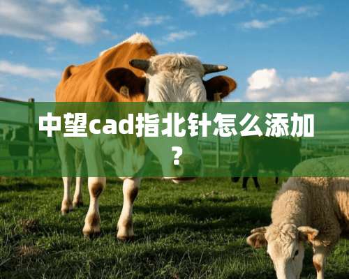 中望cad指北针怎么添加？