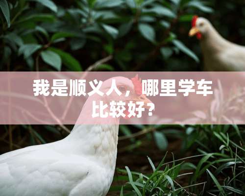 我是顺义人，哪里学车比较好？