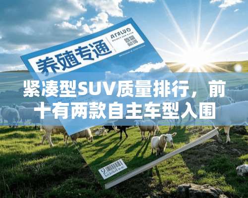 紧凑型SUV质量排行，前十有两款自主车型入围，有你的爱车吗？