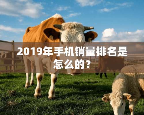 2019年手机销量排名是怎么的？