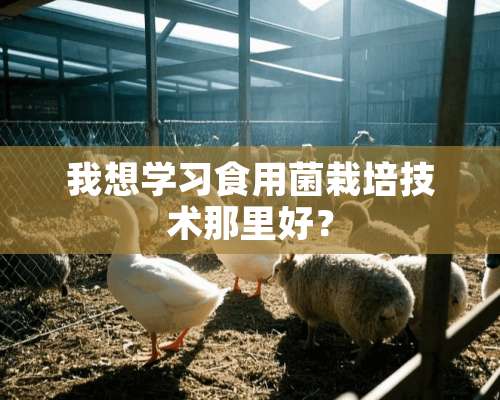 我想学习食用菌栽培技术那里好？