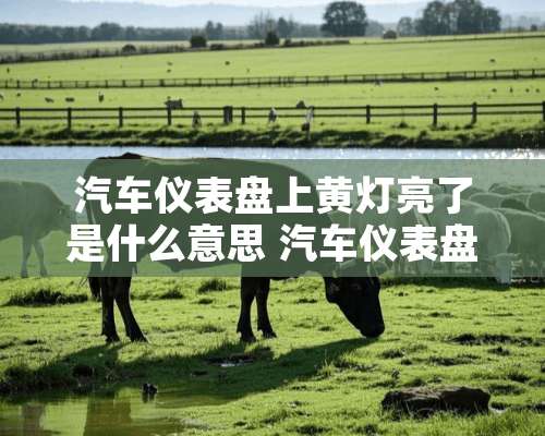 汽车仪表盘上黄灯亮了是什么意思 汽车仪表盘上黄灯亮了解释