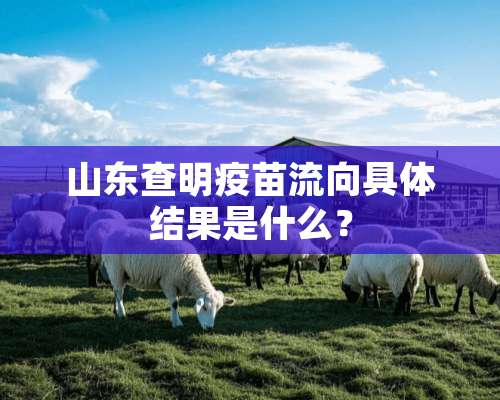 山东查明**流向具体结果是什么？