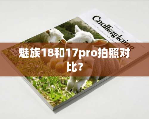 魅族18和17pro拍照对比？