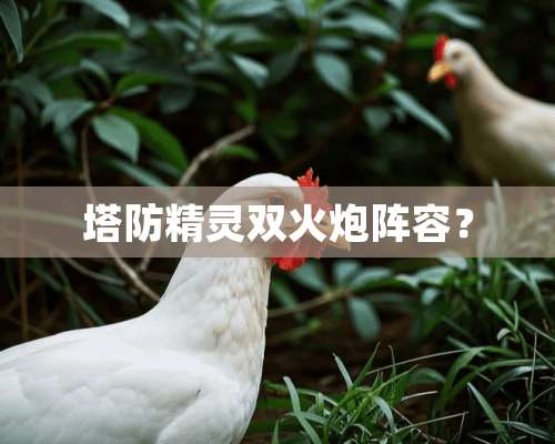 塔防精灵双火*阵容？