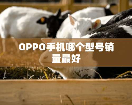 OPPO手机哪个型号销量最好