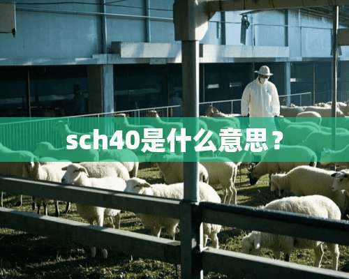 sch40是什么意思？