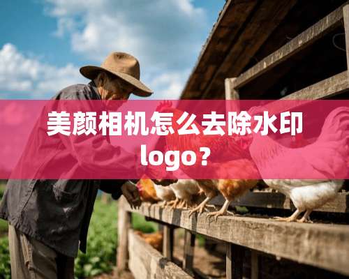 美颜相机怎么去除水印logo？