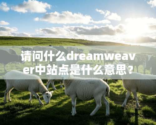 请问什么dreamweaver中站点是什么意思？