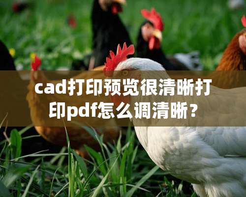 cad打印预览很清晰打印pdf怎么调清晰？