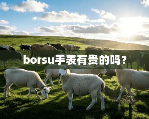 borsu手表有贵的吗？