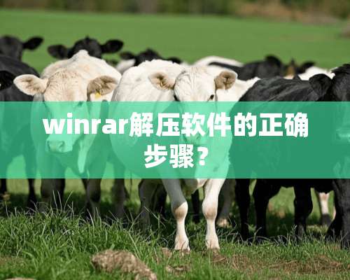 winrar解压软件的正确步骤？