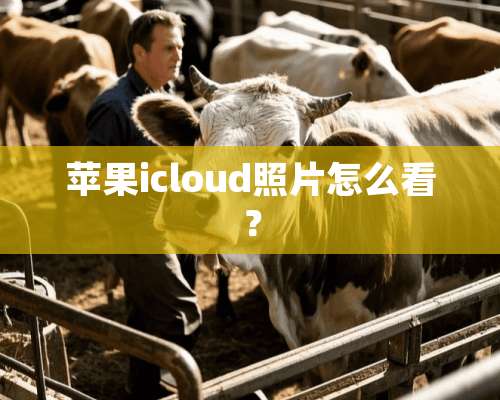 苹果icloud照片怎么看？