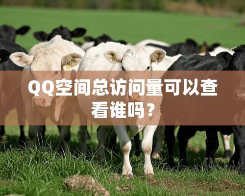 QQ空间总访问量可以查看谁吗？