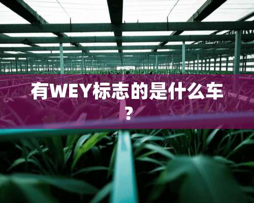 有WEY标志的是什么车？