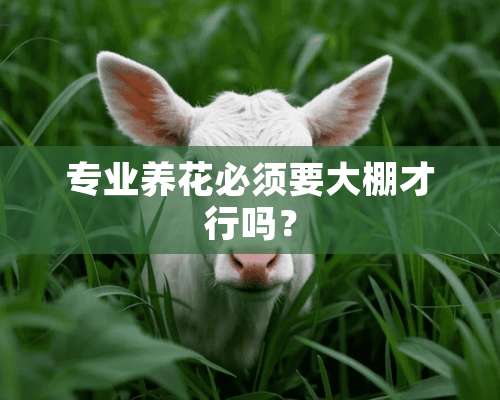 专业养花必须要大棚才行吗？