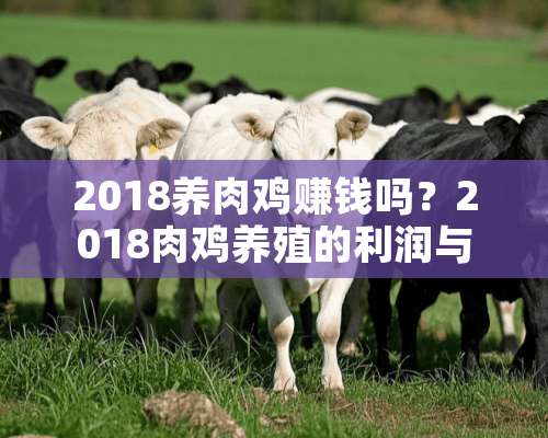 2018养肉鸡赚钱吗？2018肉鸡养殖的利润与投资成本及前景预测