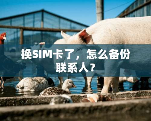 换SIM卡了，怎么备份联系人？