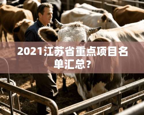 2021江苏省重点项目名单汇总？