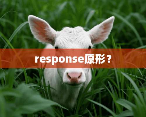 response原形？