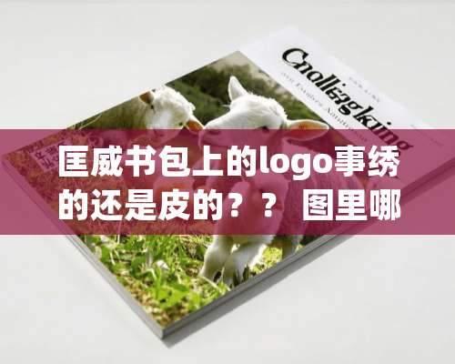 匡威书包上的logo事绣的还是皮的？？ 图里哪一个