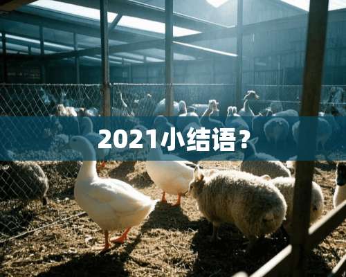 2021小结语？