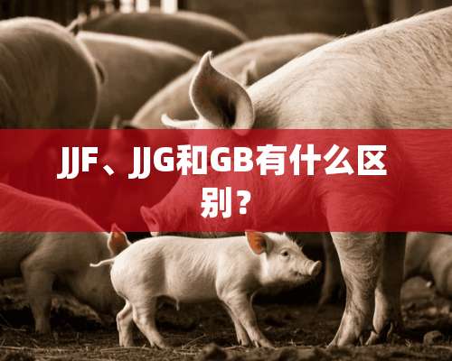 JJF、JJG和GB有什么区别？