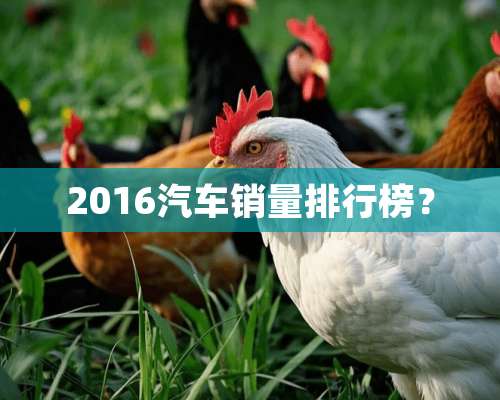 2016汽车销量排行榜？