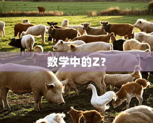 数学中的Z？