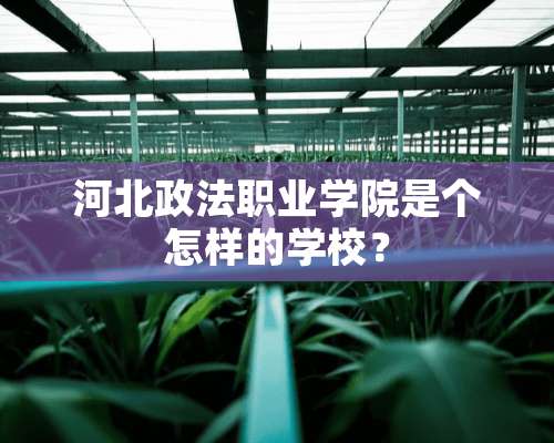 河北政法职业学院是个怎样的学校？