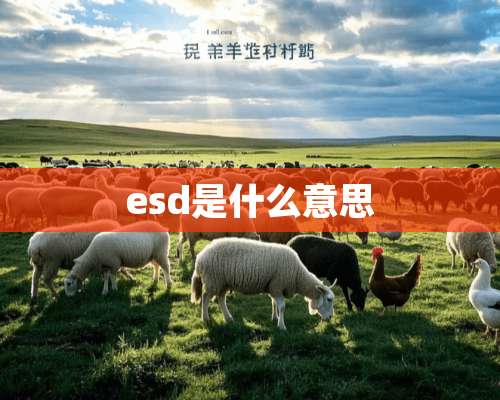 esd是什么意思