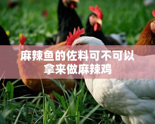 麻辣鱼的佐料可不可以拿来做麻辣鸡