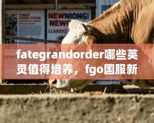 fategrandorder哪些英灵值得培养，fgo国服新手各职阶英灵推荐？