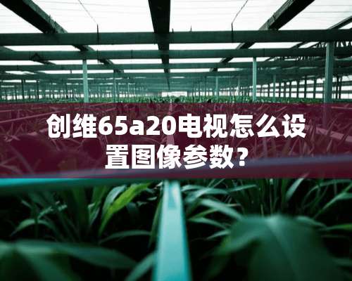 创维65a20电视怎么设置图像参数？