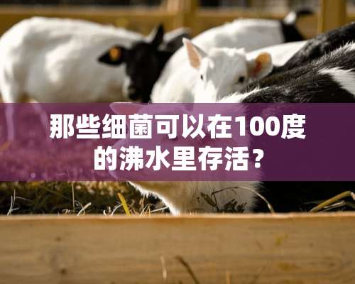 那些细菌可以在100度的沸水里存活？