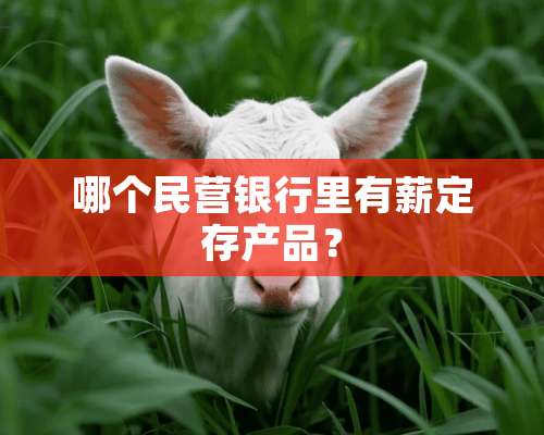 哪个民营银行里有薪定存产品？