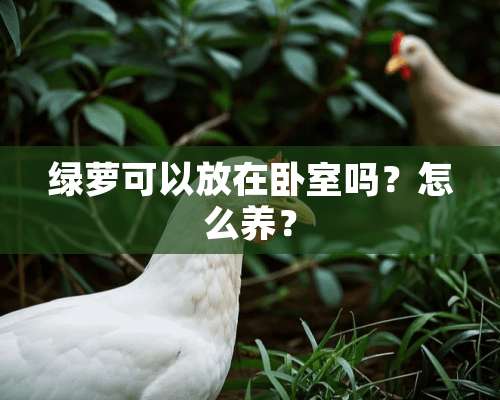 绿萝可以放在卧室吗？怎么养？