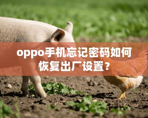 oppo手机忘记密码如何恢复出厂设置？