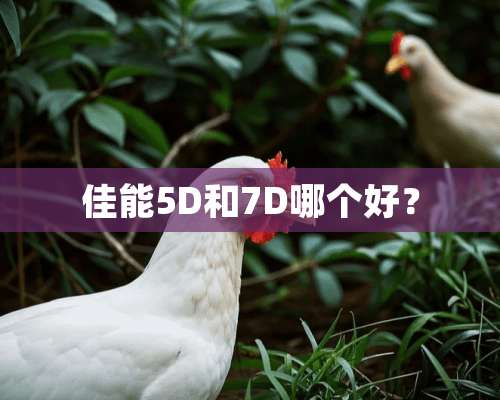 佳能5D和7D哪个好？