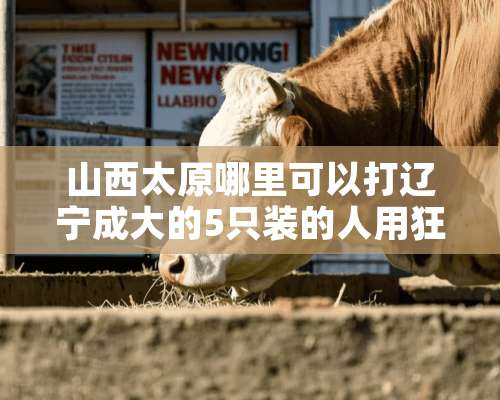 山西太原哪里可以打辽宁成大的5只装的人用狂犬**