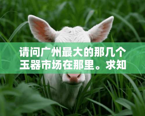 请问广州最大的那几个玉器市场在那里。求知识？