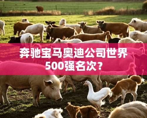 奔驰宝马奥迪公司世界500强名次？