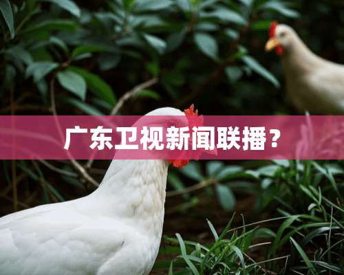 广东卫视新闻联播？