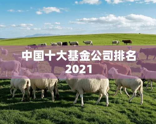 中国十大基金公司排名2021