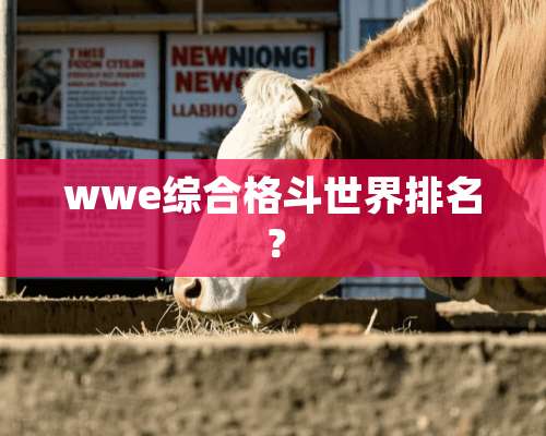 wwe综合格斗世界排名？