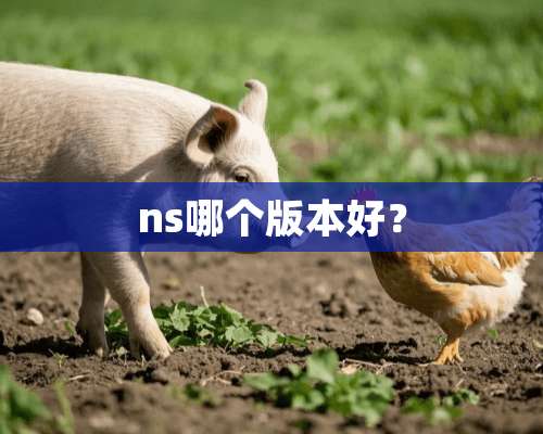 ns哪个版本好？