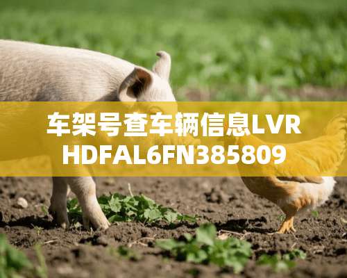 车架号查车辆信息LVRHDFAL6FN385809